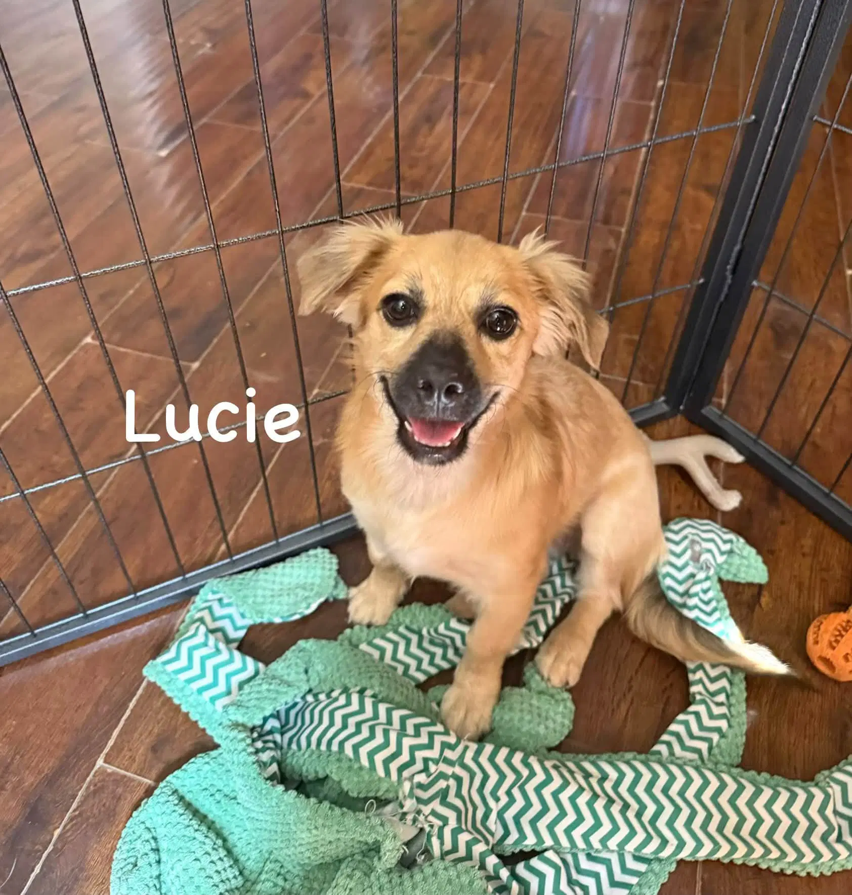 Lucie image 2