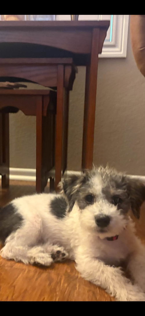 Photo 5 of Kira