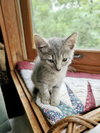 Harrison 5 : Leonardo - Photo 3