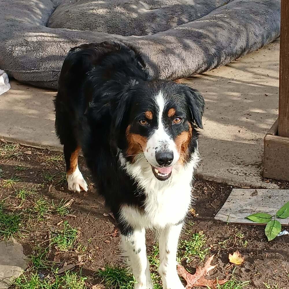Mama Maggie Image