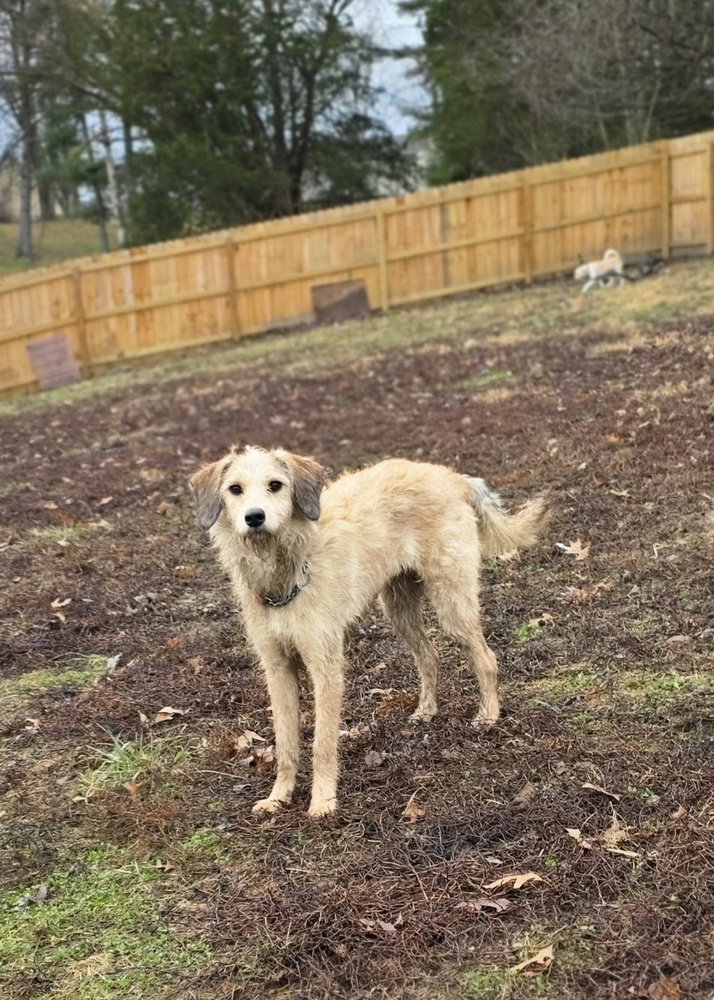 Chancie Image
