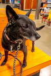 Facts Of Life : Tootie (Zoey) - Photo 2