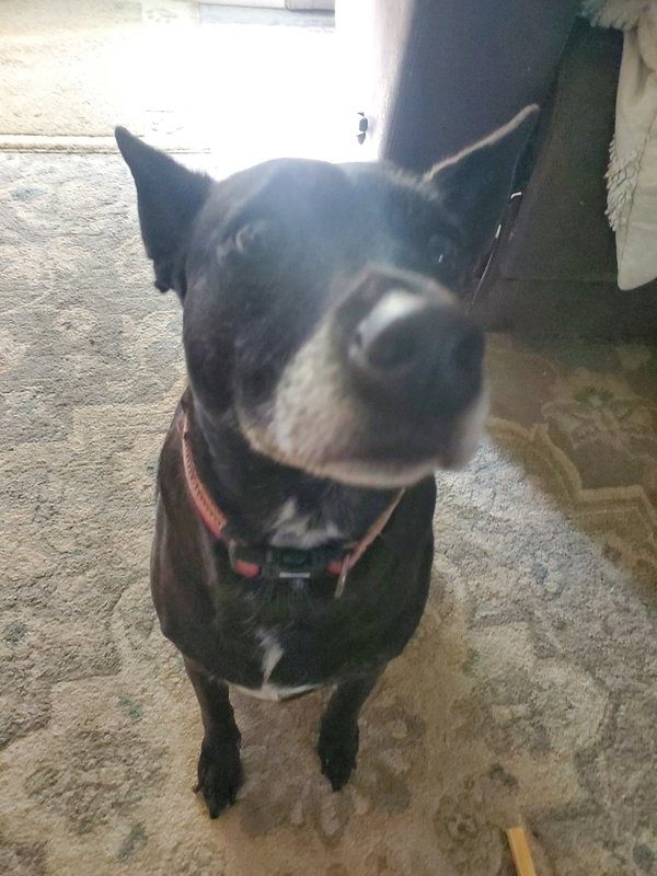 Facts Of Life : Tootie (Zoey)