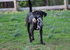 Reik (Scout) - Photo 2