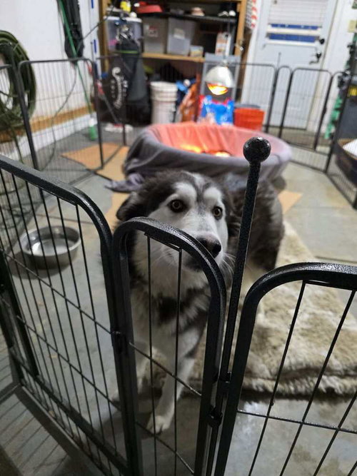 Photo 3 of Sadie Mama