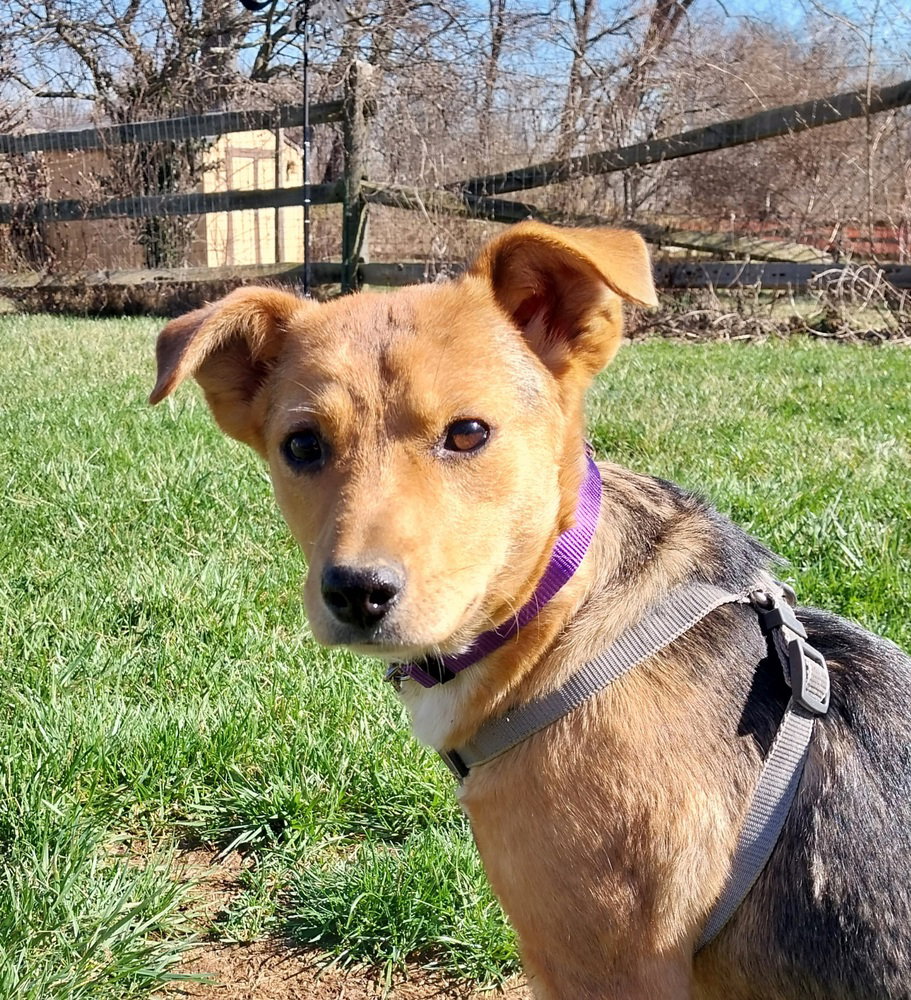 Sisters : Beth Jean