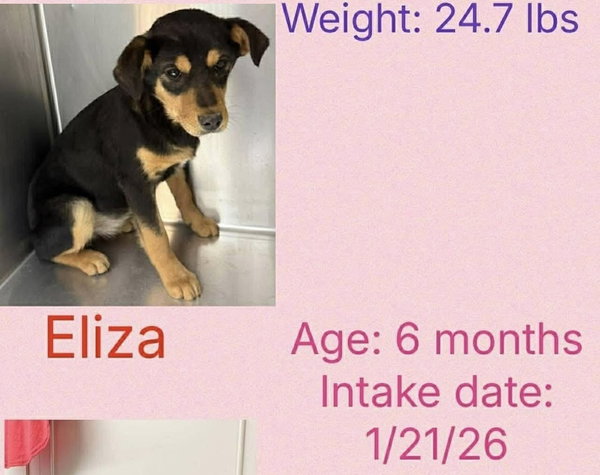 Sisters : Eliza Jean