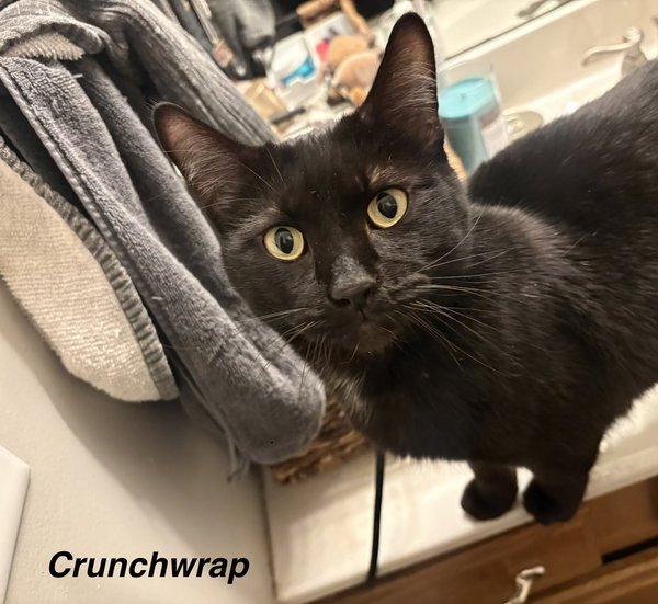 AP : Crunch Wrap