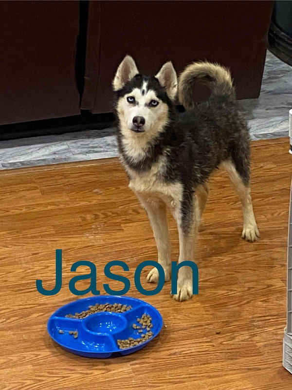Seven Kingdoms : Baelor (Jason)