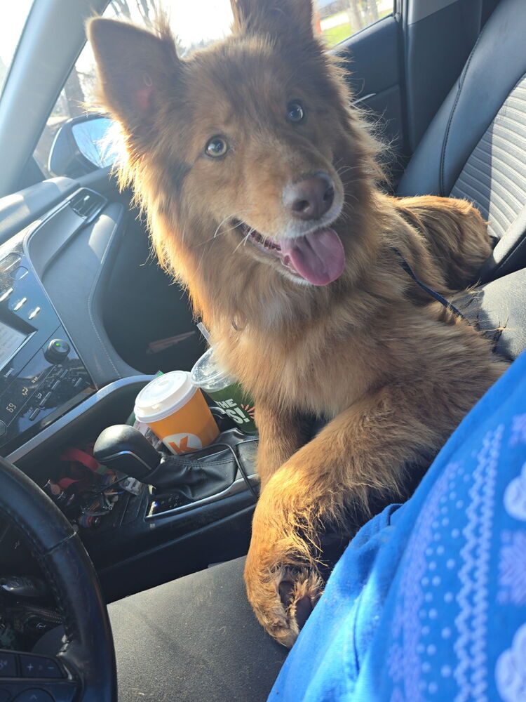 Bailey Love Image