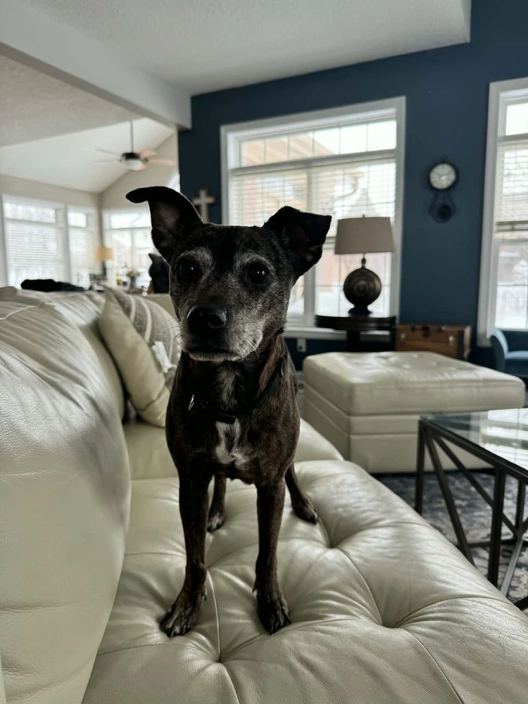 Tina