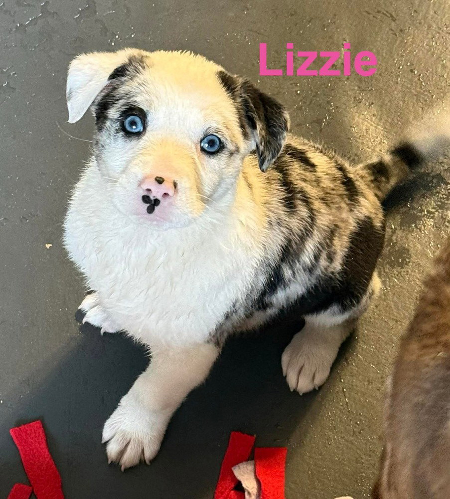 Virgin River : Lizzie Image