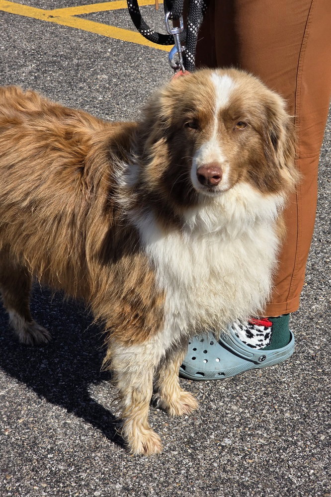 Miss Penny