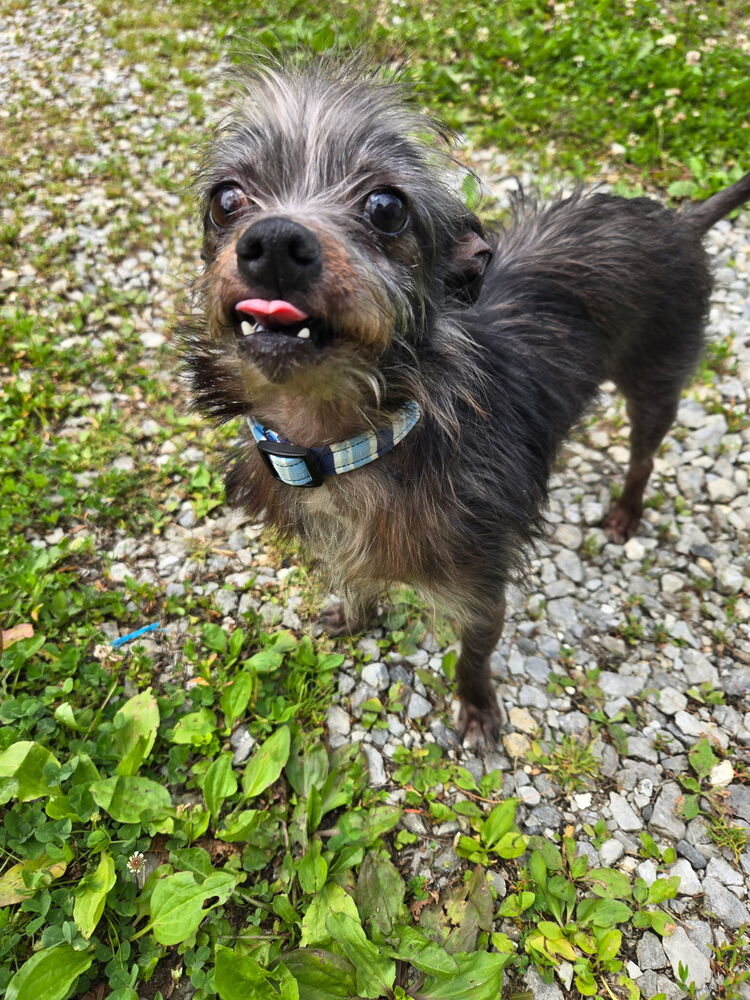 Lil Duke