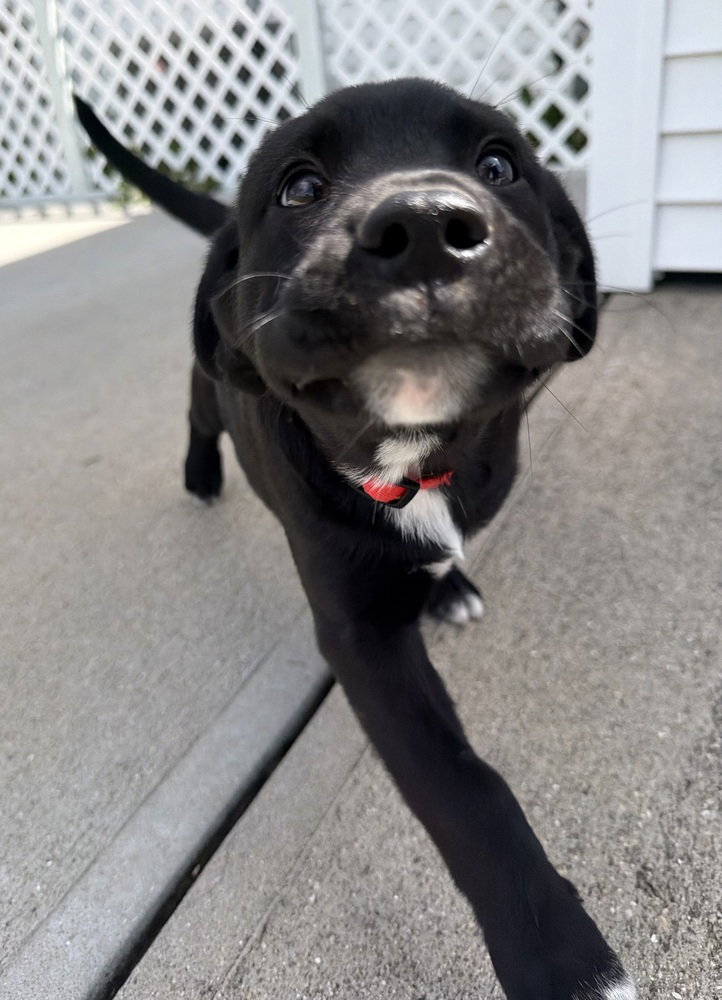 Connecticut : Derby