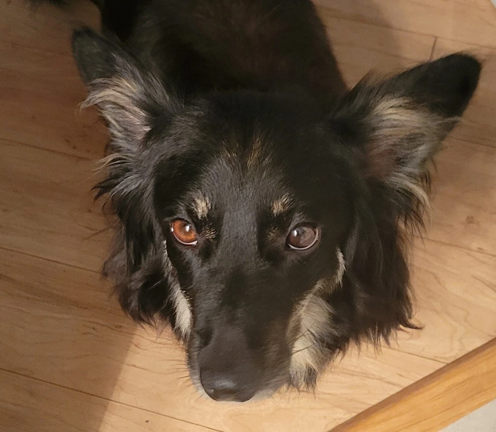 Matilda