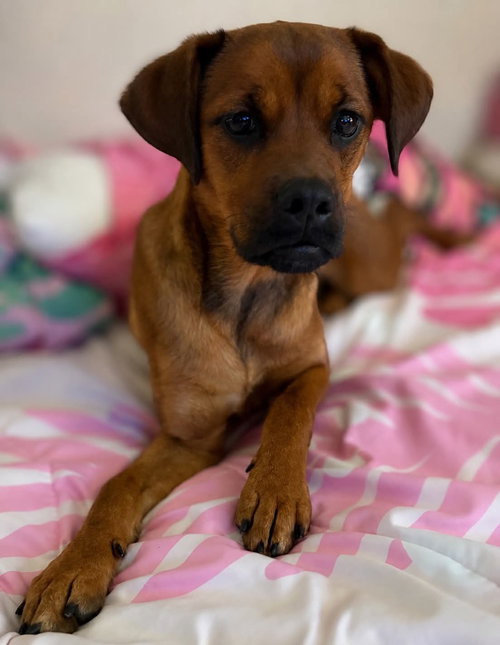 Miss Rosie