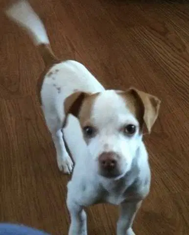 Sasha image 3