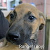 LLP Trixie : Ranger - Photo 1