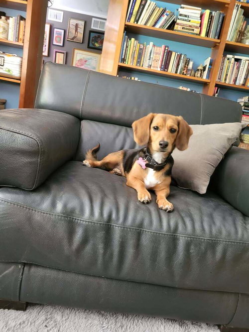 Sabrina