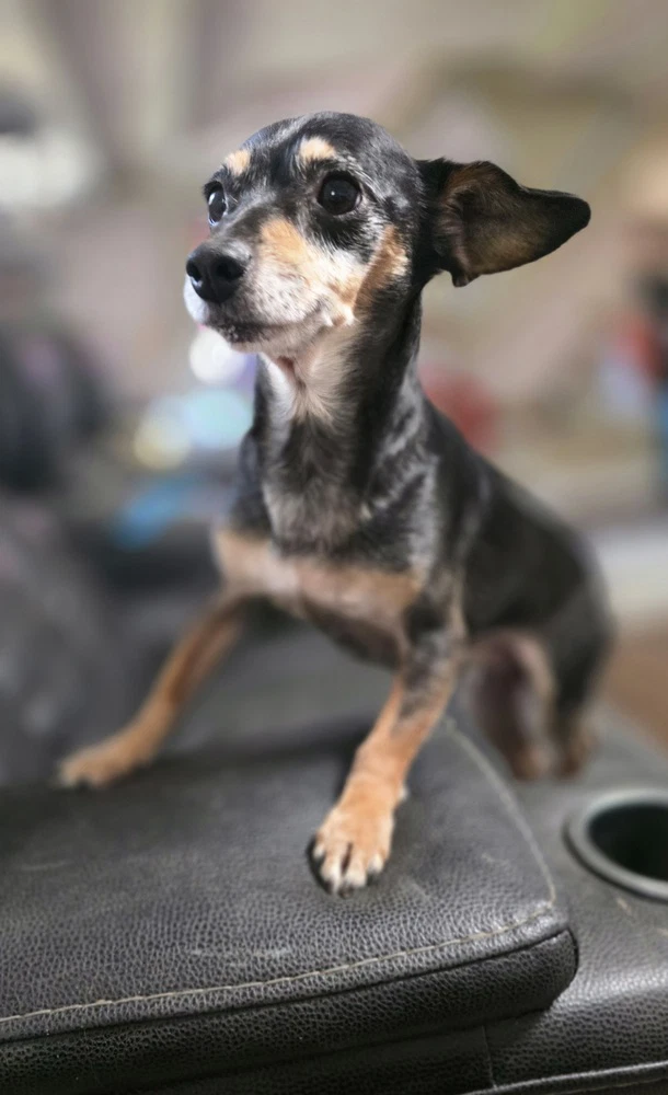 Just Jack