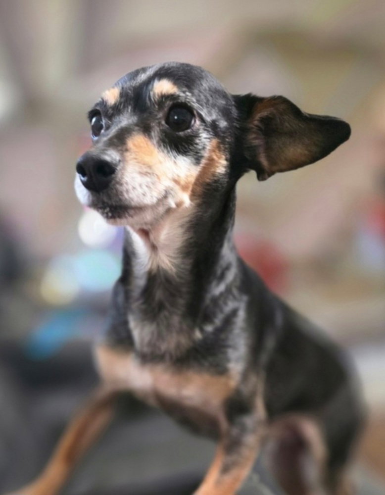 Just Jack