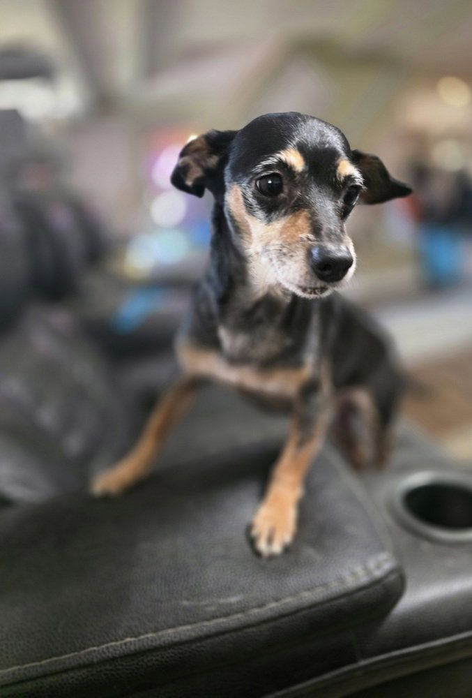 Just Jack, photo 3