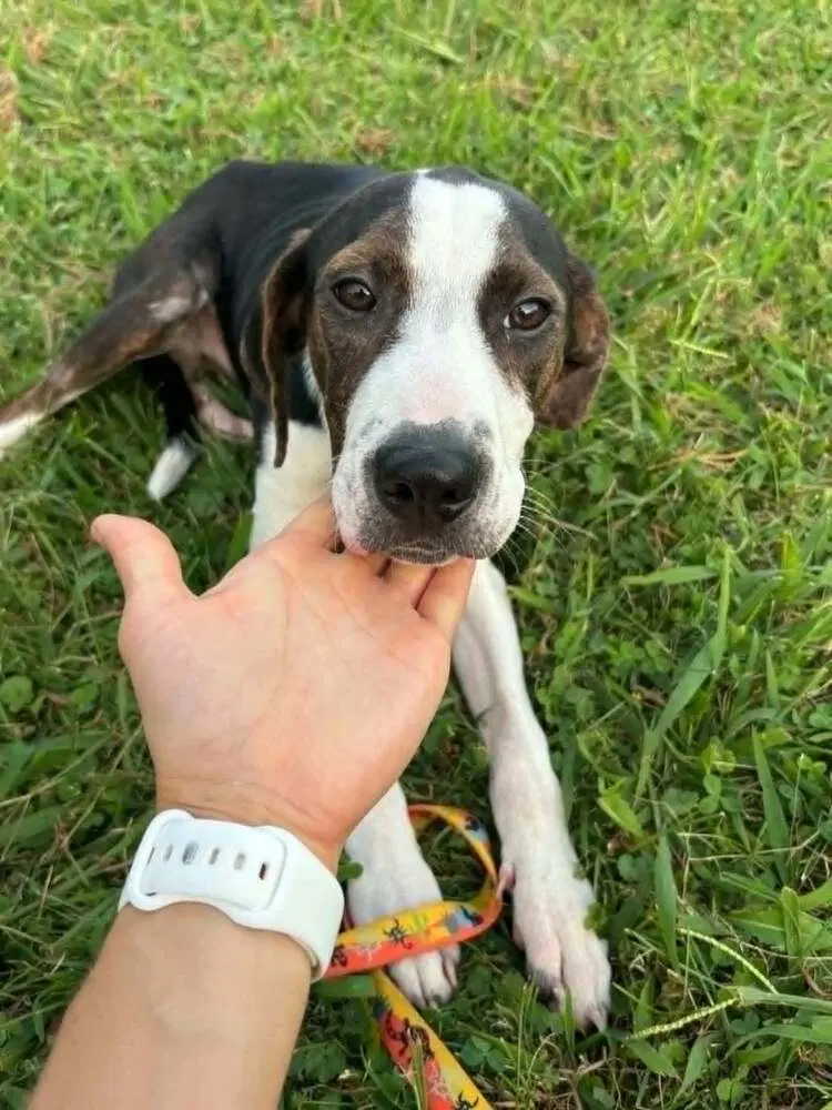 Floyd Rs  Rufus image 2