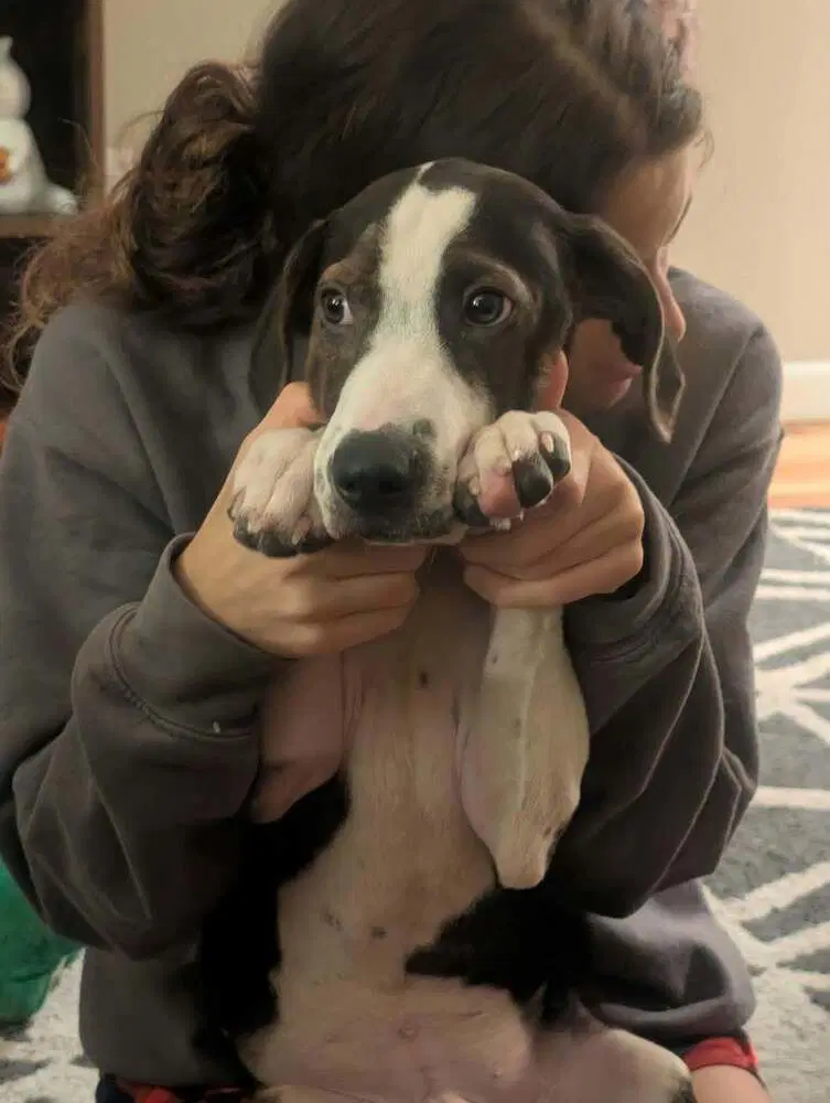 Floyd Rs  Rufus image 4