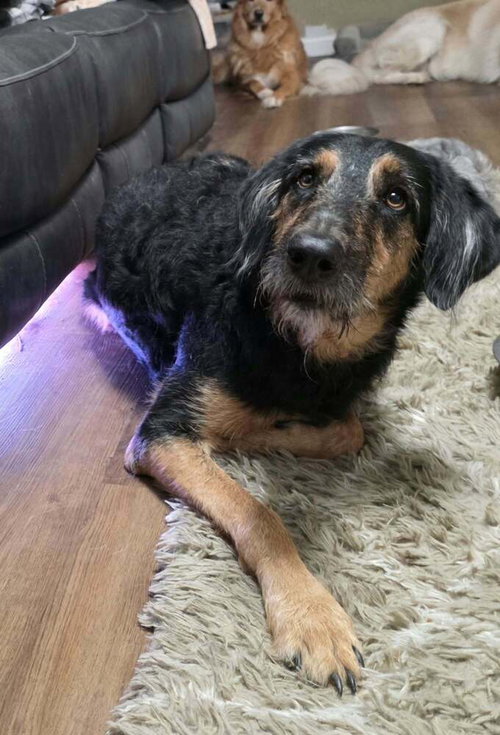 Photo 3 of Molly Doo