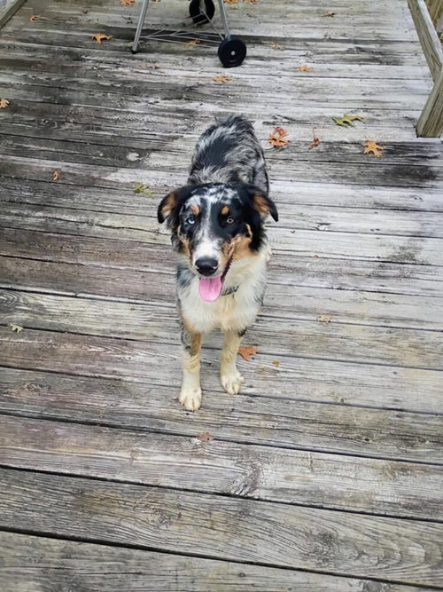 Photo 3 of Roxi Auxi