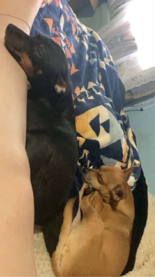 Photo 3 of Hotel : Hampton