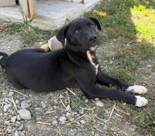 Photo 4 of Georgia : Tucker