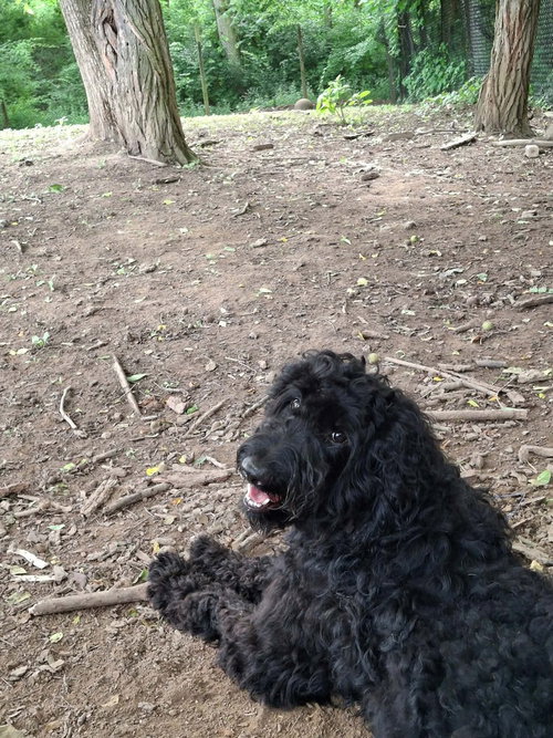 Photo 2 of ChaCha