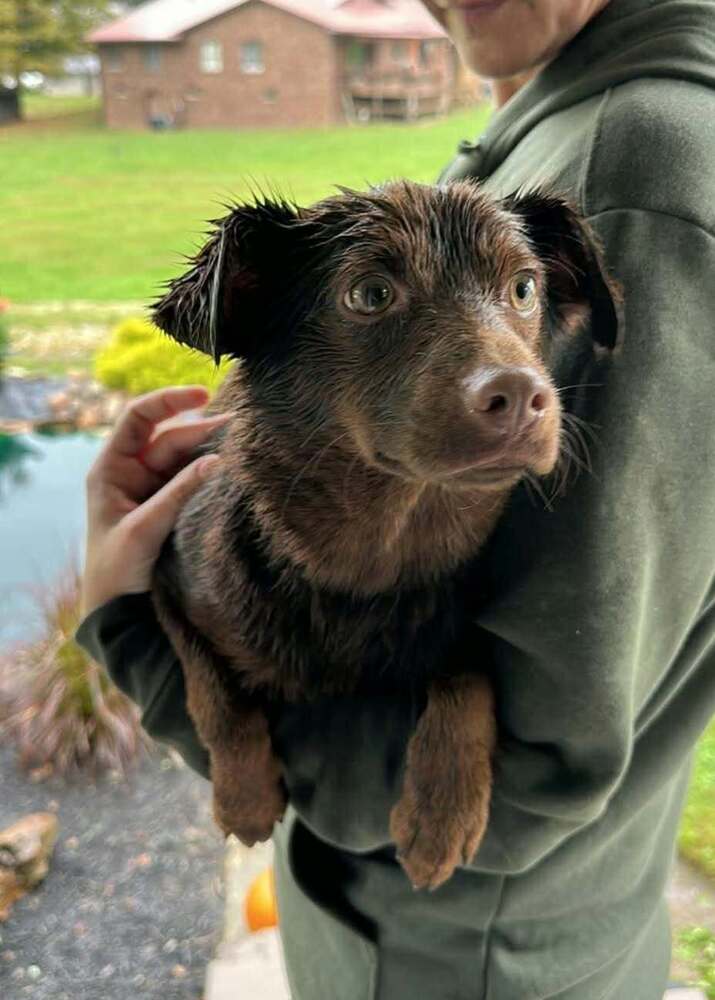 Billy Beau