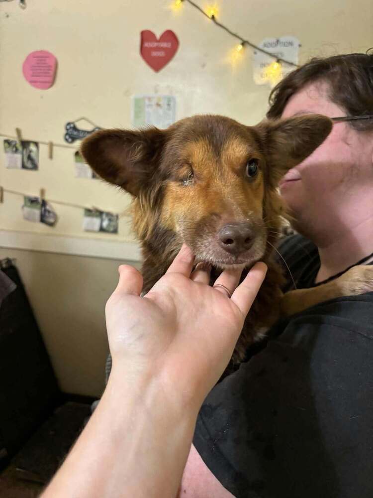 Voyager : Kes, photo 4