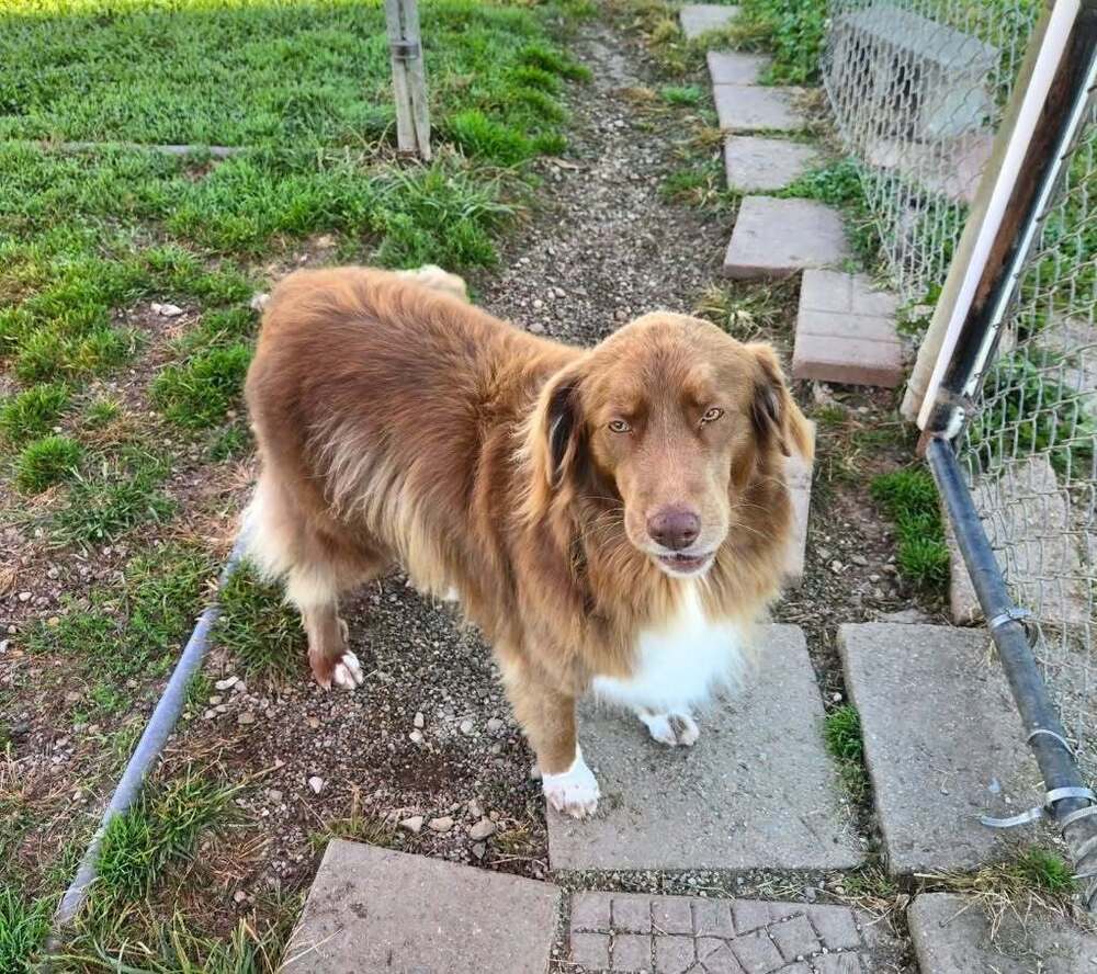 Annie O
