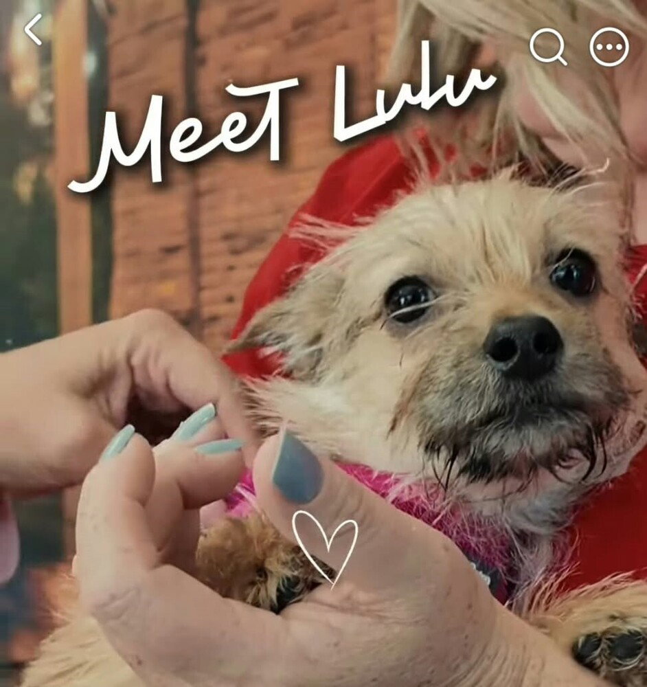 Lil Lulu, photo 2