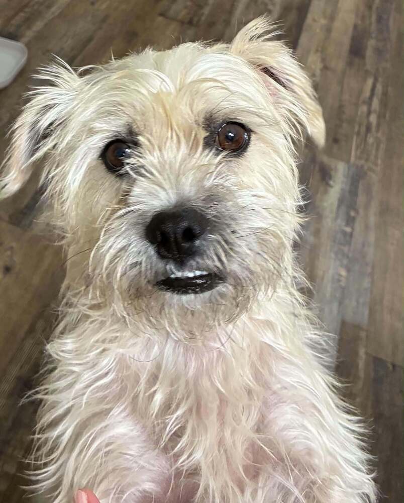 Fisher Tzu