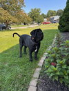 Gianna - Photo 2