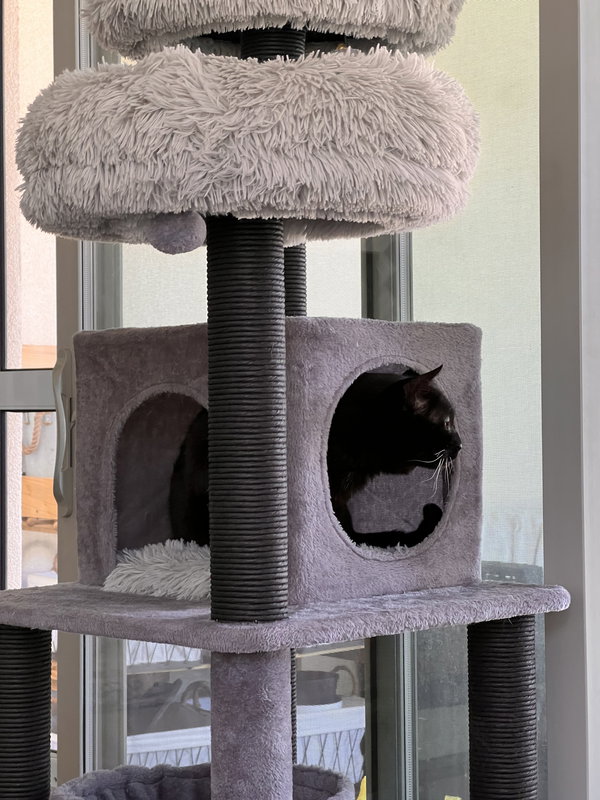Simba Girl (Courtesy Post)