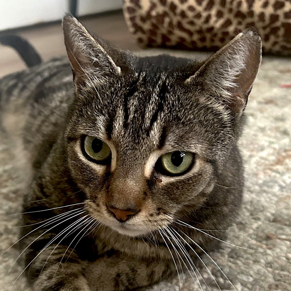 Logan (Courtesy Post)