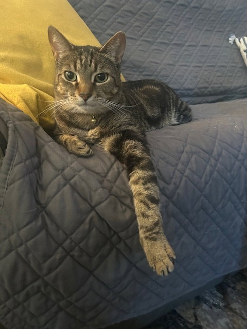Logan (Courtesy Post)