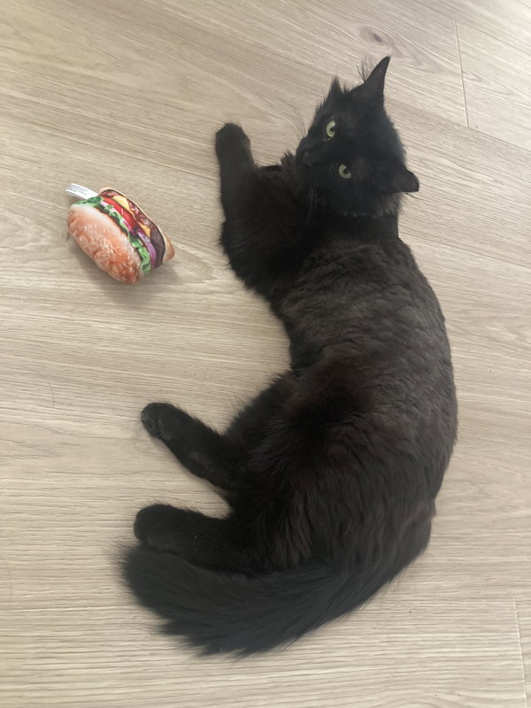 Kat (Courtesy Post)