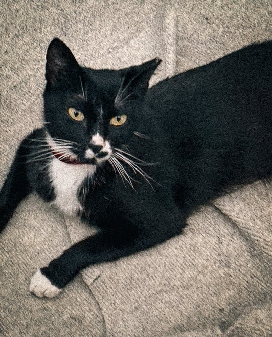 Abby