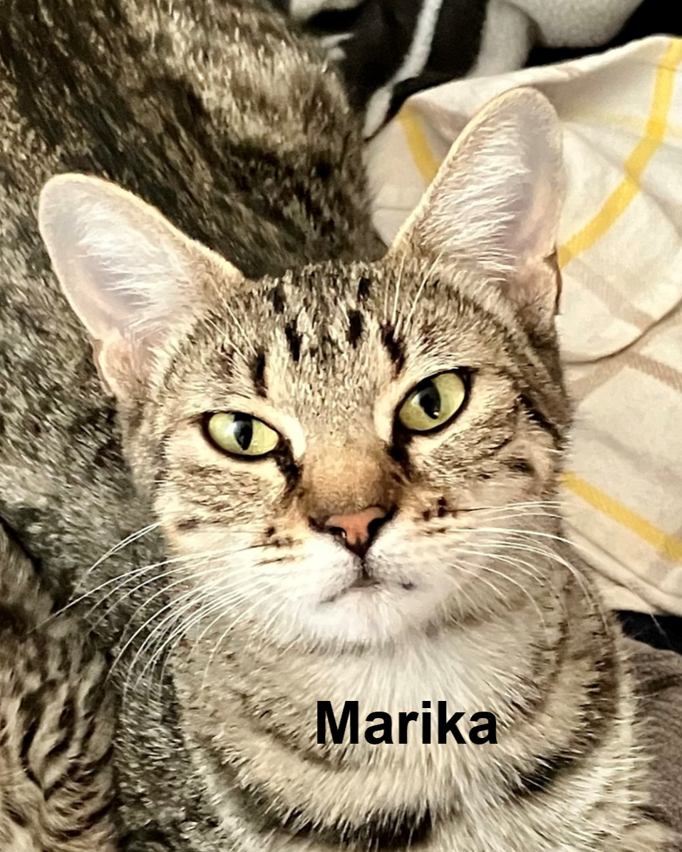 Marika (Courtesy Post)