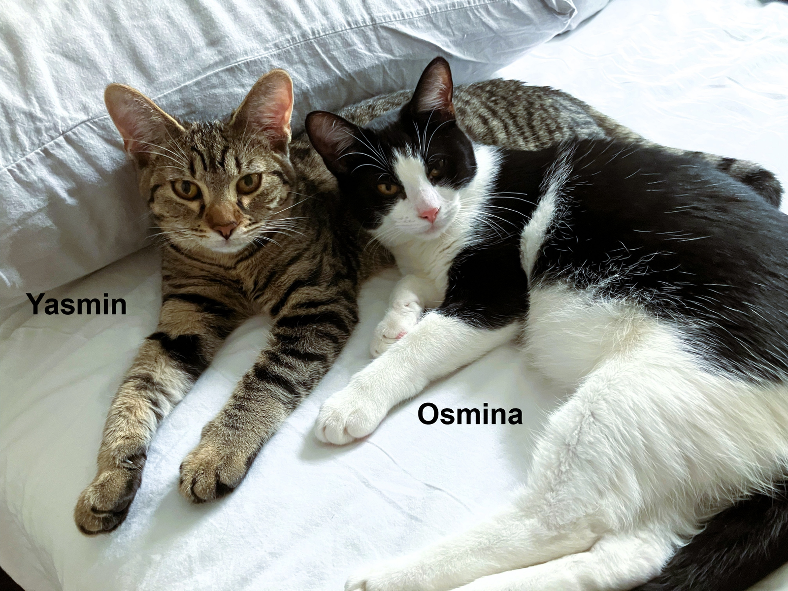 Osmina & Yasmin (Courtesy Post)