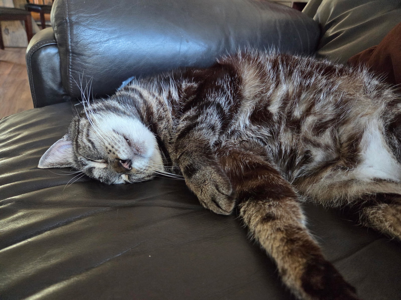 Gabby, photo 4