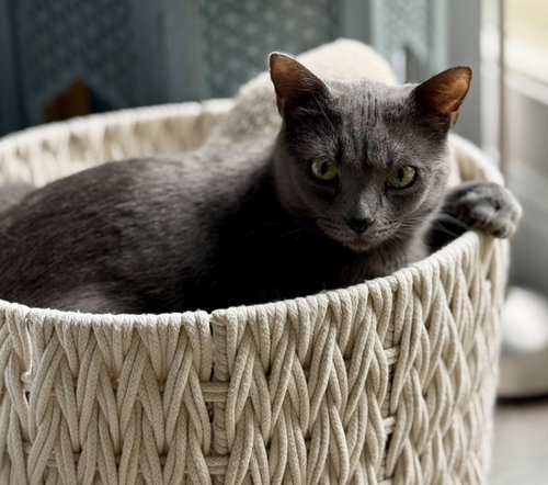 Photo 5 of Nelly