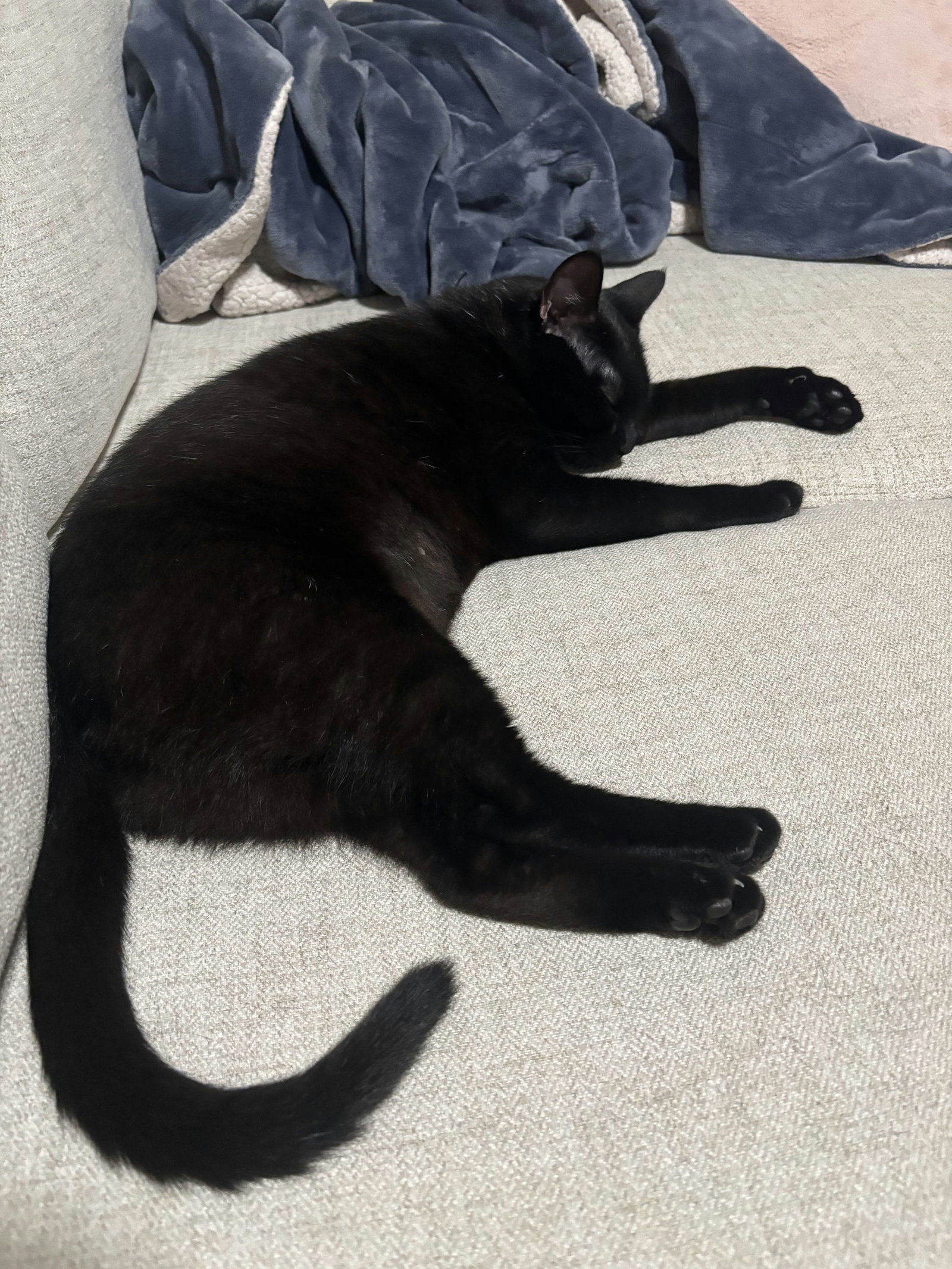 Princess Sabrina, photo 6